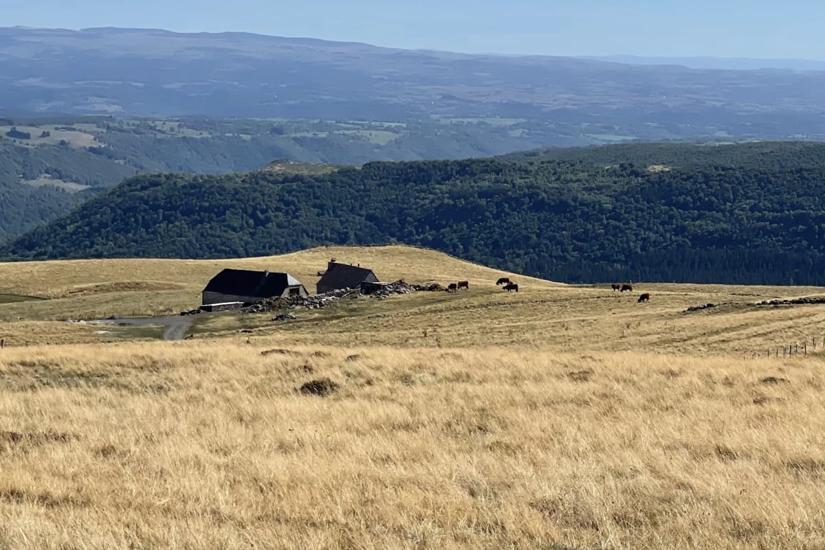 Le Petit Buron jusqu’à 6 Personnes – 2 nuits - Photo 10